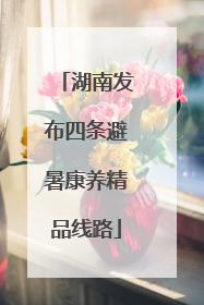 湖南发布四条避暑康养精品线路