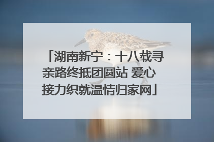 湖南新宁：十八载寻亲路终抵团圆站 爱心接力织就温情归家网