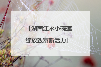 湖南江永小碗莲绽放致富新活力