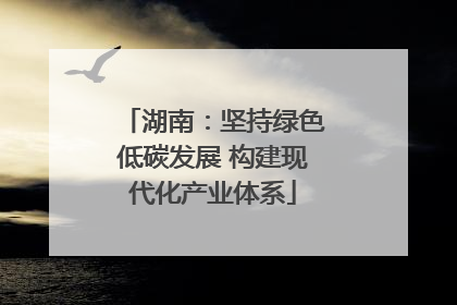 湖南：坚持绿色低碳发展 构建现代化产业体系