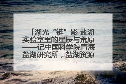 湖光“链”影 盐湖实验室里的星辰与荒原——记中国科学院青海盐湖研究所，盐湖资源化学实验室党总支书记、副主任刘忠