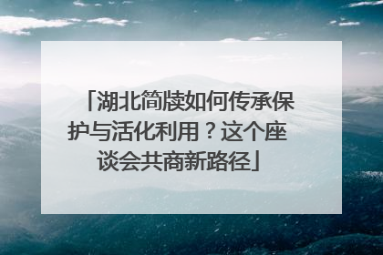 湖北简牍如何传承保护与活化利用？这个座谈会共商新路径