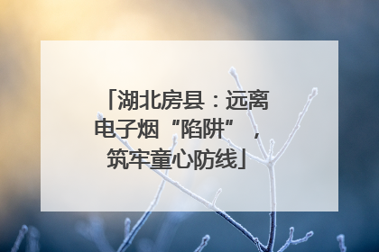 湖北房县：远离电子烟“陷阱”，筑牢童心防线