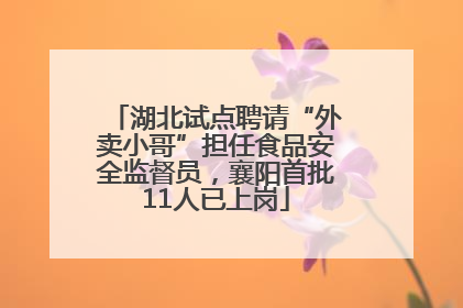 湖北试点聘请“外卖小哥”担任食品安全监督员，襄阳首批11人已上岗