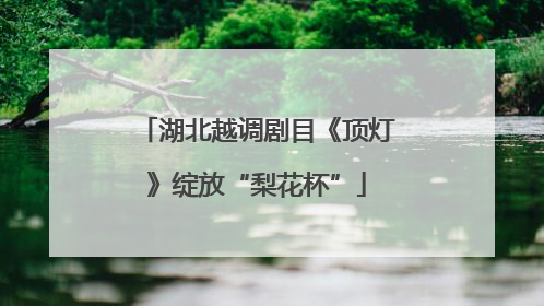 湖北越调剧目《顶灯》绽放“梨花杯”