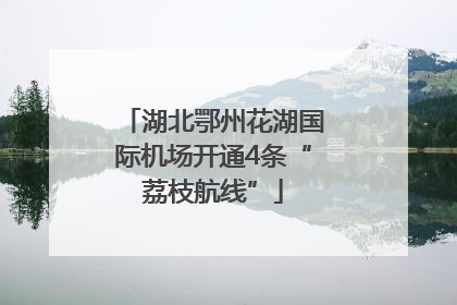 湖北鄂州花湖国际机场开通4条“荔枝航线”