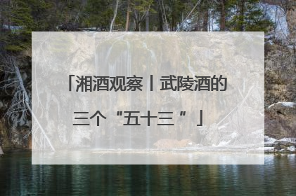 湘酒观察丨武陵酒的三个“五十三 ”