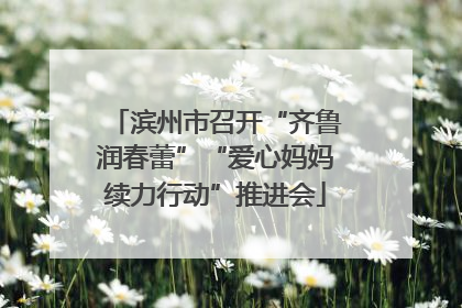 滨州市召开“齐鲁润春蕾”“爱心妈妈续力行动”推进会