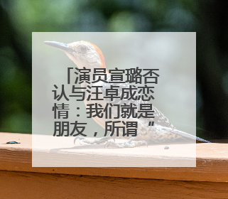演员宣璐否认与汪卓成恋情：我们就是朋友，所谓“牵手图”双方工作人员均在场