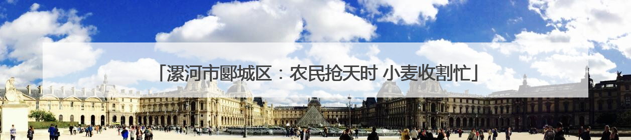 漯河市郾城区：农民抢天时 小麦收割忙