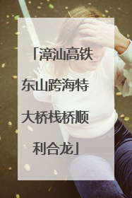 漳汕高铁东山跨海特大桥栈桥顺利合龙