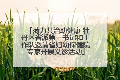 菏力共治助健康 牡丹区省派第一书记和工作队邀请省妇幼保健院专家开展义诊活动