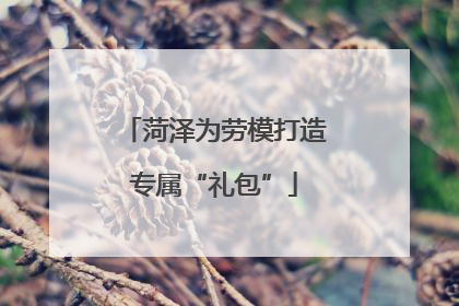 菏泽为劳模打造专属“礼包”