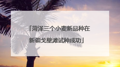 菏泽三个小麦新品种在新疆戈壁滩试种成功