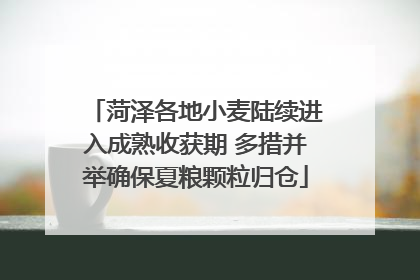 菏泽各地小麦陆续进入成熟收获期 多措并举确保夏粮颗粒归仓