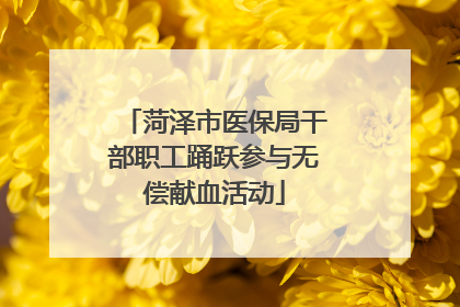 菏泽市医保局干部职工踊跃参与无偿献血活动