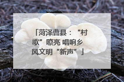 菏泽曹县：“村歌”嘹亮 唱响乡风文明“新声”