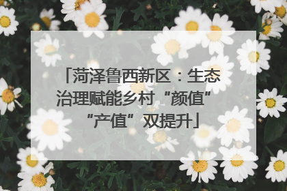 菏泽鲁西新区：生态治理赋能乡村“颜值”“产值”双提升