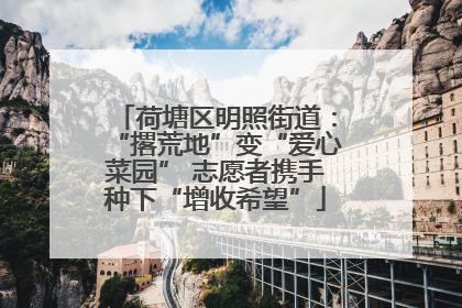 荷塘区明照街道：“撂荒地”变“爱心菜园” 志愿者携手种下“增收希望”