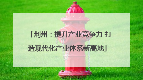 荆州：提升产业竞争力 打造现代化产业体系新高地