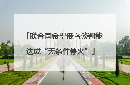 联合国希望俄乌谈判能达成“无条件停火”
