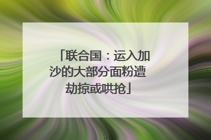 联合国：运入加沙的大部分面粉遭劫掠或哄抢