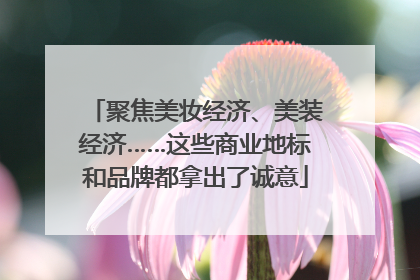 聚焦美妆经济、美装经济……这些商业地标和品牌都拿出了诚意
