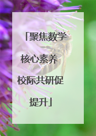 聚焦数学核心素养 校际共研促提升