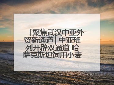 聚焦武汉中亚外贸新通道│中亚班列开辟双通道 哈萨克斯坦饲用小麦将抵鄂