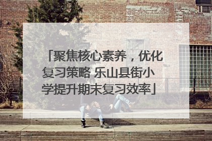 聚焦核心素养，优化复习策略 乐山县街小学提升期末复习效率