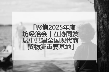 聚焦2025年廊坊经洽会丨在协同发展中共建全国现代商贸物流重要基地