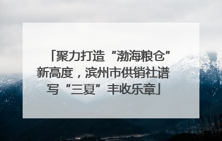 聚力打造“渤海粮仓”新高度，滨州市供销社谱写“三夏”丰收乐章