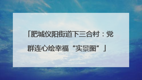 肥城仪阳街道下三合村：党群连心绘幸福“实景图”
