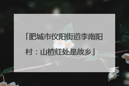 肥城市仪阳街道李南阳村：山楂红处是故乡