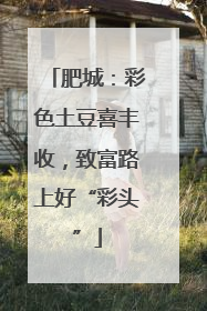 肥城：彩色土豆喜丰收，致富路上好“彩头”