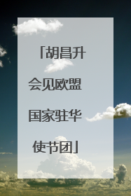 胡昌升会见欧盟国家驻华使节团