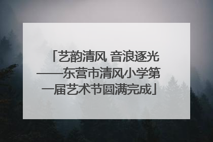 艺韵清风 音浪逐光——东营市清风小学第一届艺术节圆满完成