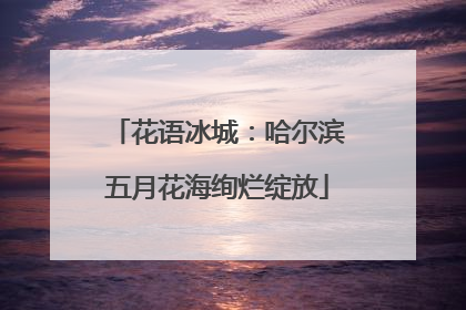 花语冰城：哈尔滨五月花海绚烂绽放