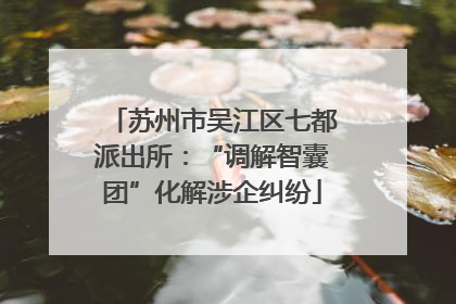 苏州市吴江区七都派出所：“调解智囊团”化解涉企纠纷