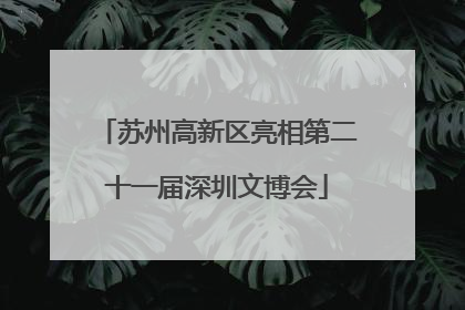 苏州高新区亮相第二十一届深圳文博会