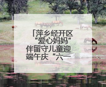 萍乡经开区“爱心妈妈”伴留守儿童迎端午庆“六一”（图）