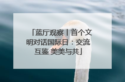 蓝厅观察丨首个文明对话国际日：交流互鉴 美美与共