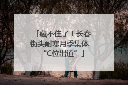 藏不住了！长春街头耐寒月季集体“C位出道”