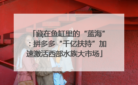 藏在鱼缸里的“蓝海”：拼多多“千亿扶持”加速激活西部水族大市场