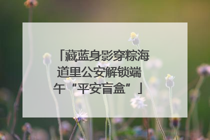 藏蓝身影穿粽海 道里公安解锁端午“平安盲盒”