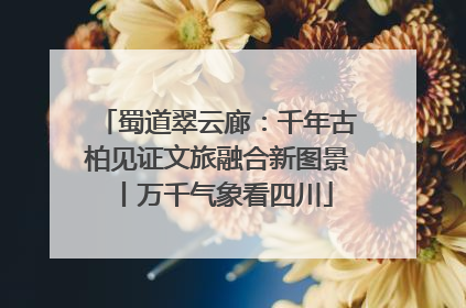 蜀道翠云廊：千年古柏见证文旅融合新图景丨万千气象看四川