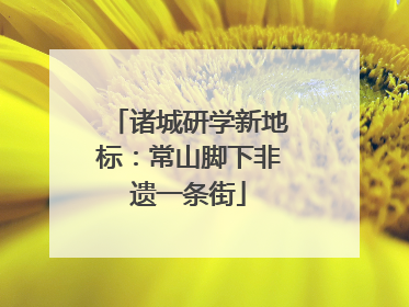 诸城研学新地标：常山脚下非遗一条街