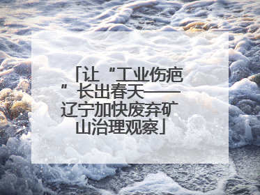 让“工业伤疤”长出春天——辽宁加快废弃矿山治理观察