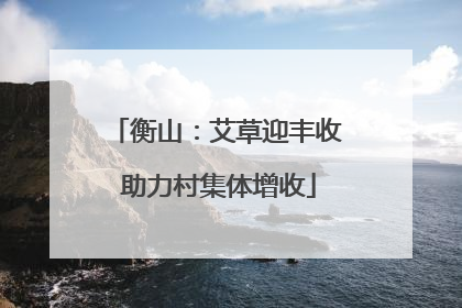 衡山：艾草迎丰收 助力村集体增收