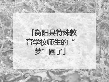 衡阳县特殊教育学校师生的“梦”圆了